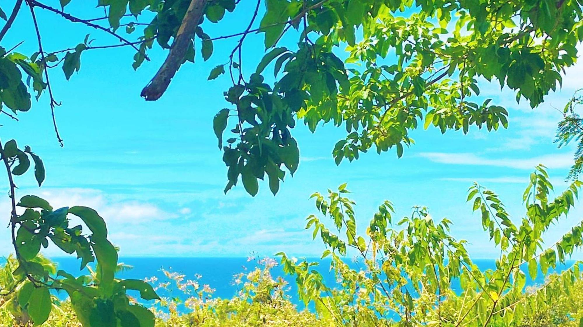 Campsarap Hostel & Resort 발렌시아 외부 사진
