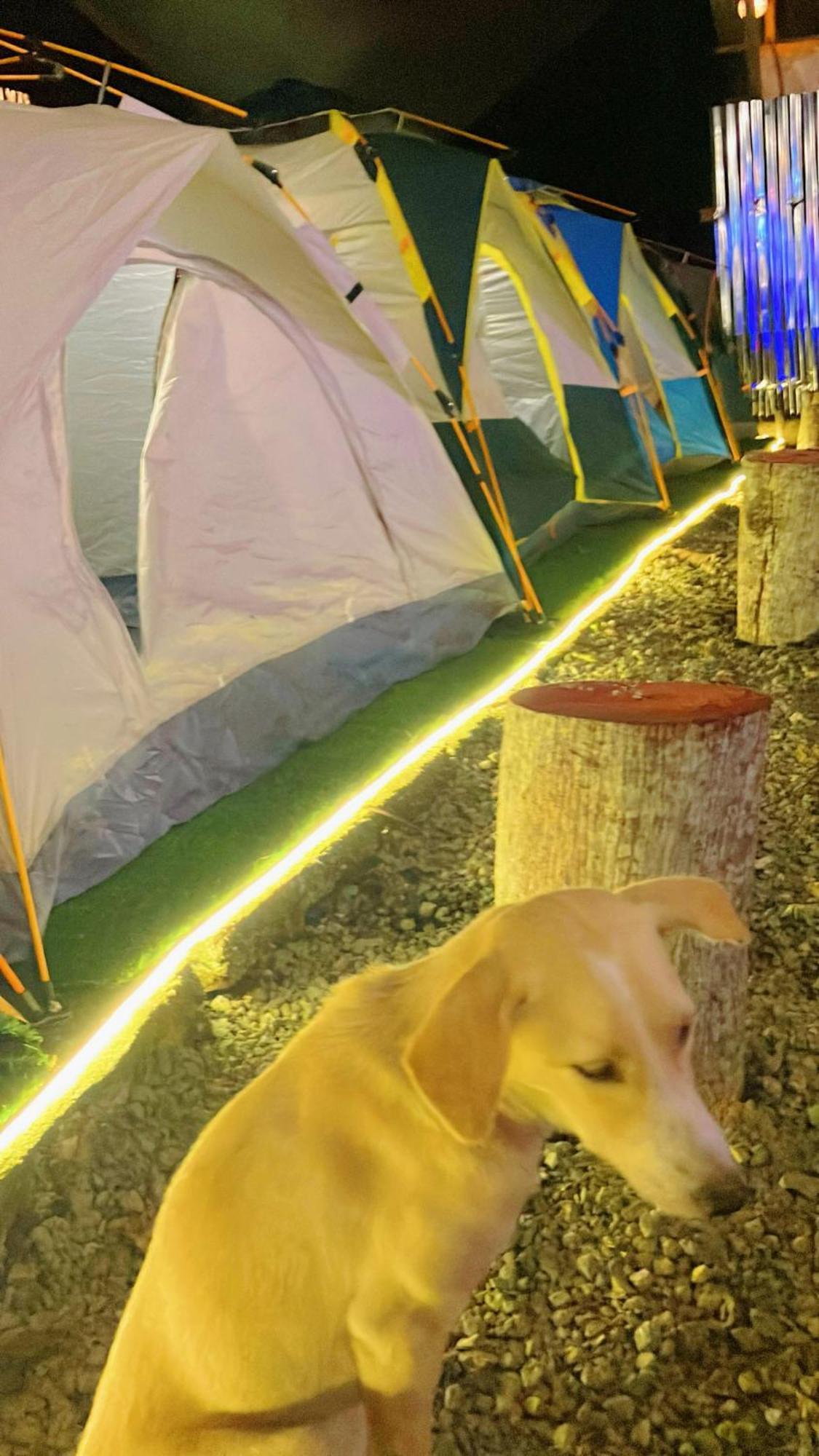 Campsarap Hostel & Resort 발렌시아 외부 사진